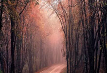 WELLBET：落叶归根！内马尔免签回归巴甲桑托斯签约6个月.