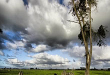 竞者 ｜ 她打封闭为国出战，36岁英雄迟暮，仍无愧历史第一人.