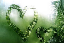 WELLBET：[德甲]斯图加特被“狼堡”绝杀.